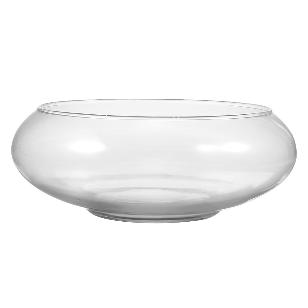 Propagation Station Vase - Wide Mouth Glass Vase Narcissus Pot