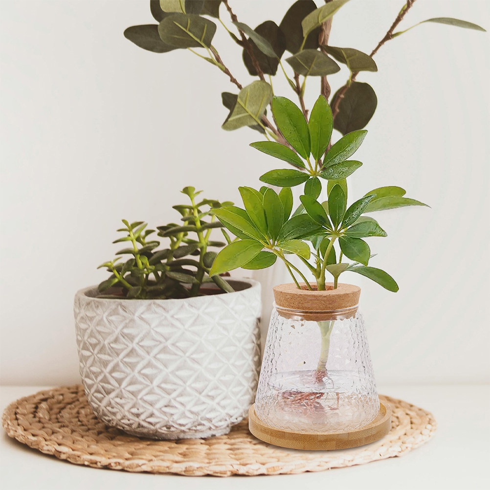 Propagation Station Vase - 2Pcs Glass Hydroponic Vase Volcanic Cup