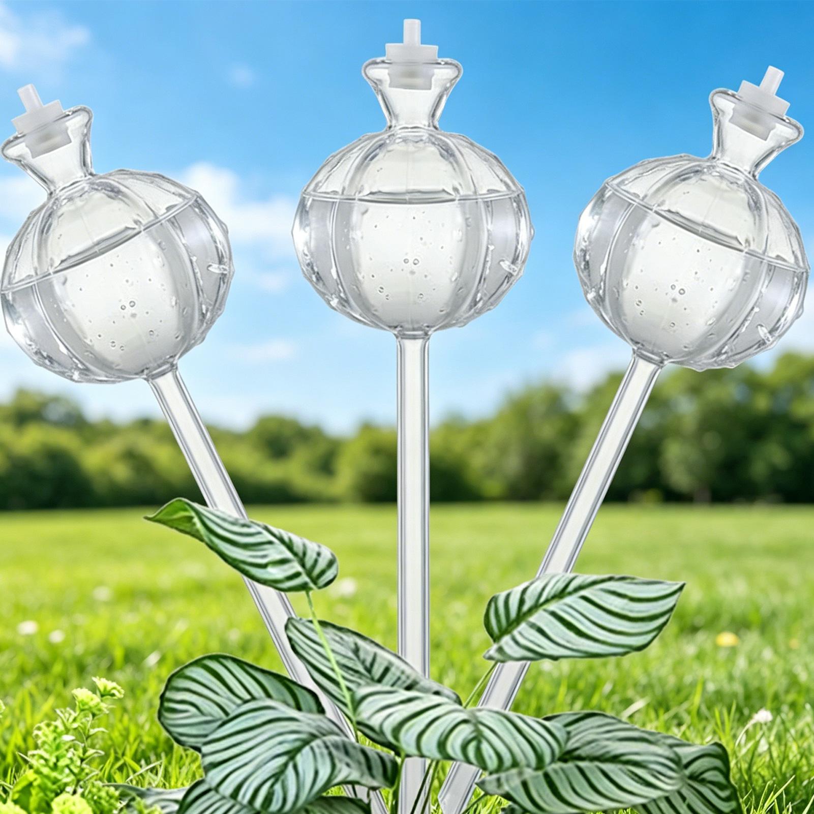 Self Watering Insert - Self-Watering Globes 3 Pieces Slow-Release Vacation