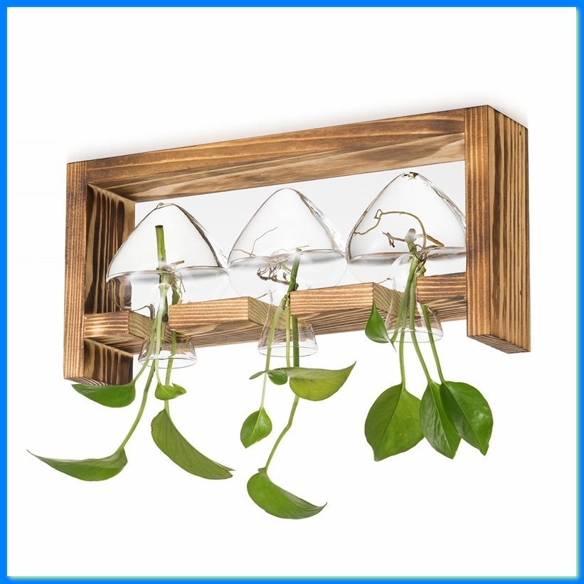 Propagation Station Vase - Glass Propagation Station for Plants: Vintage