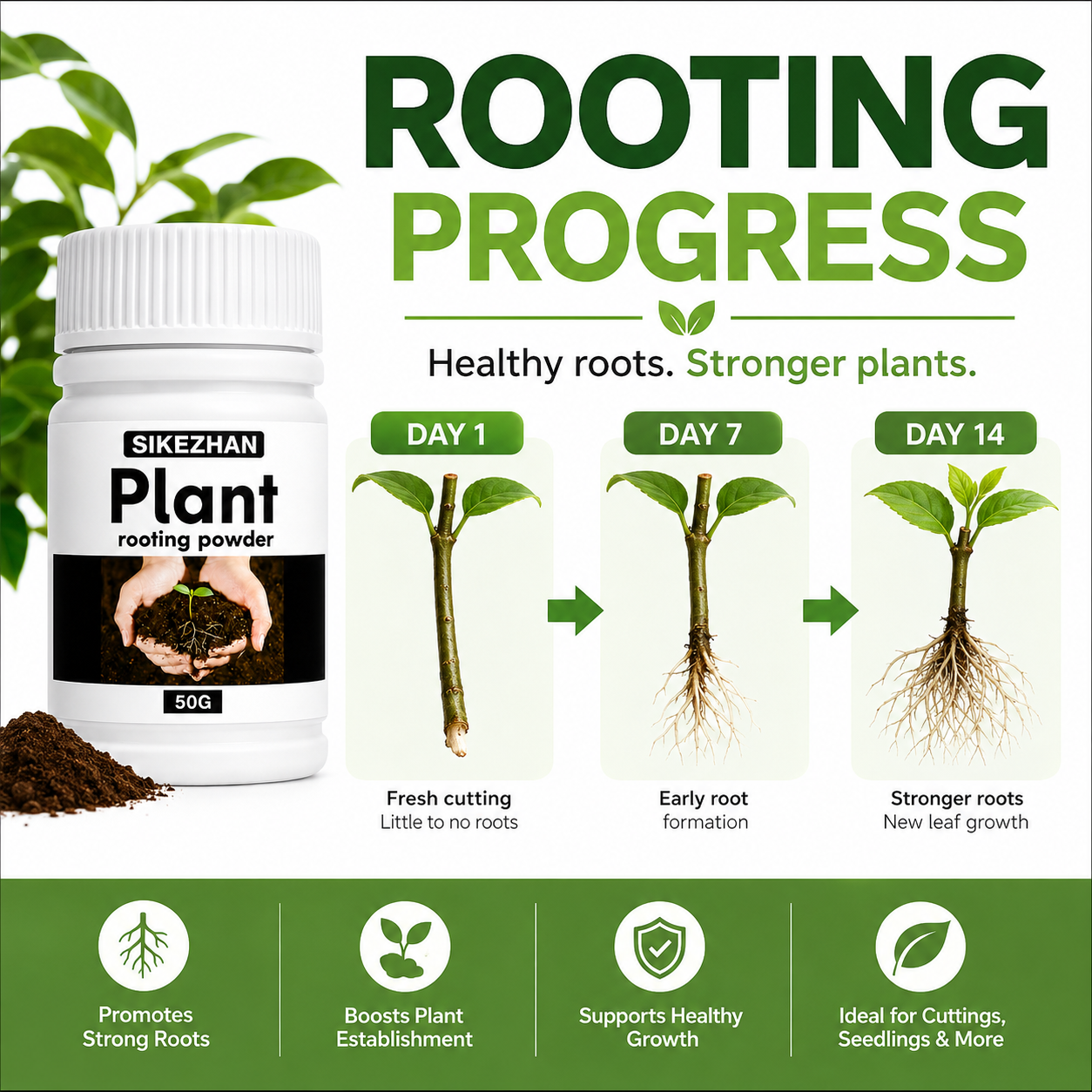 Rooting Hormone Powder - 50g Rapid Rooting Powder Plant Growth