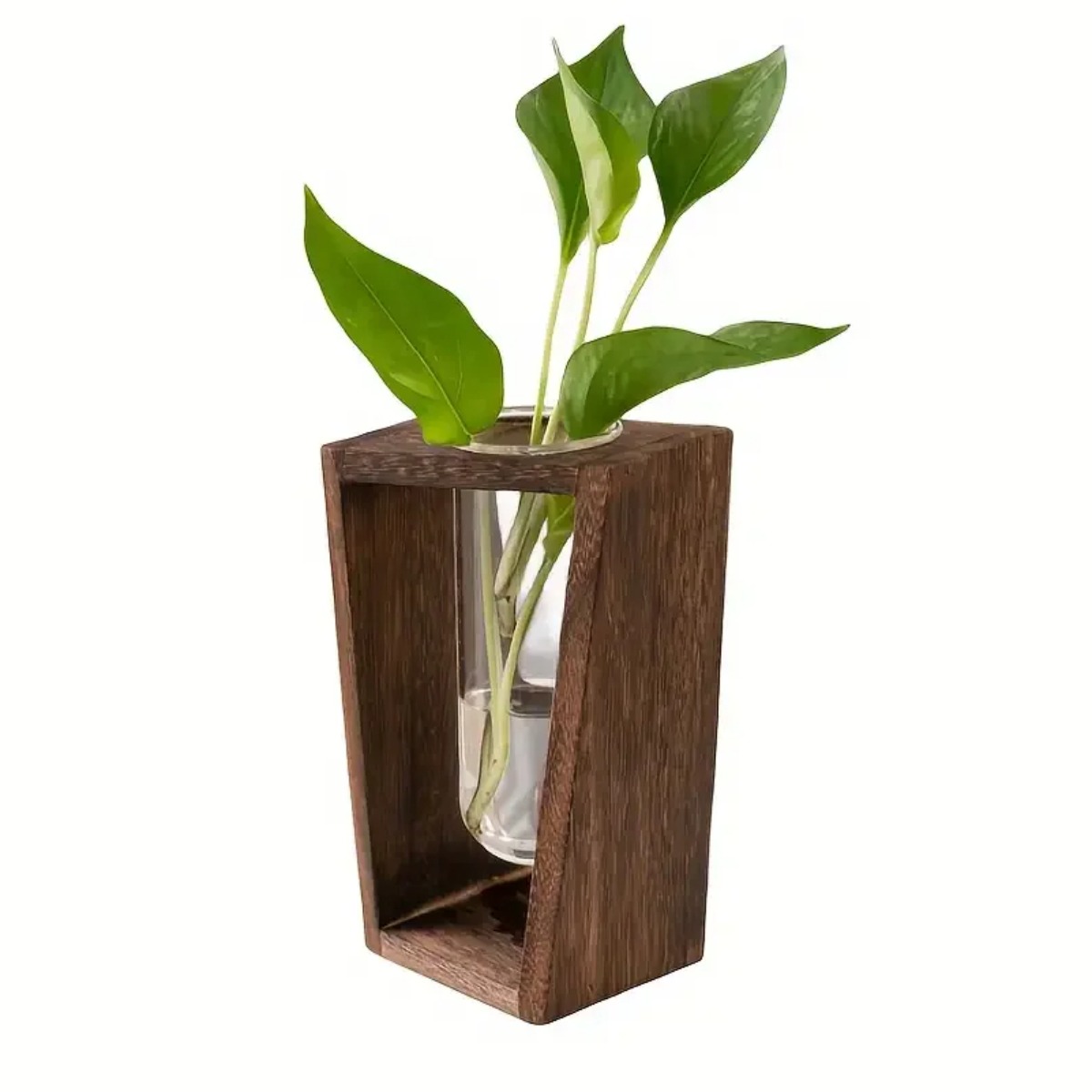 Propagation Station Vase - Plant Propagation Station Hydroponic Vase Wooden