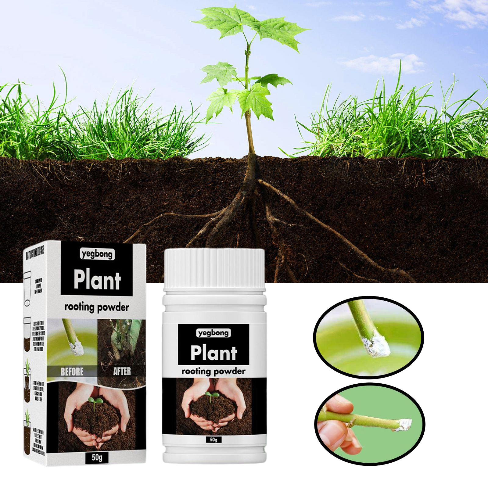 Rooting Hormone Powder - 1Rare Plant Rooting Powder Plant Fruit