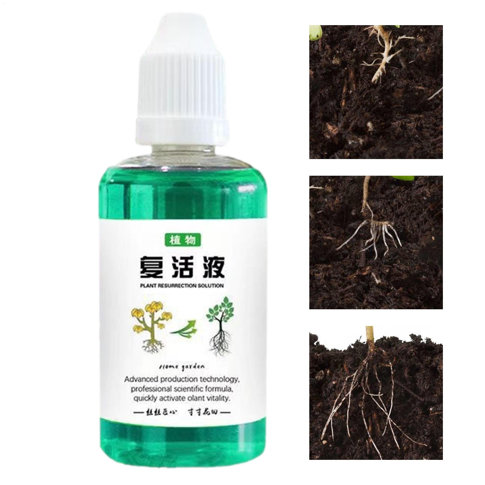 Root Stimulator Liquid - Root Stimulator For Plants 50ml Plant