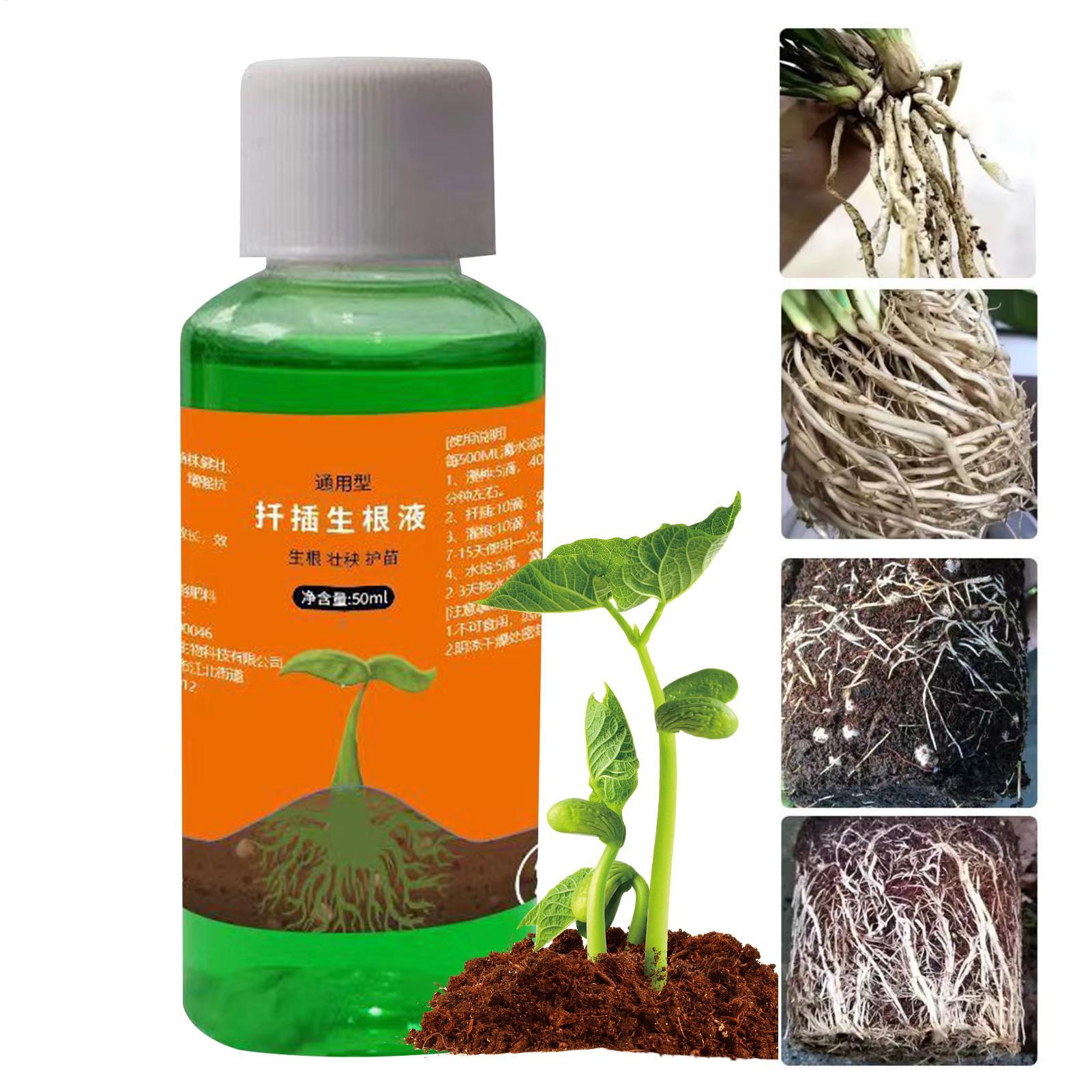 Root Stimulator Liquid - High-Efficiency Root Stimulator for Plant Cuttings