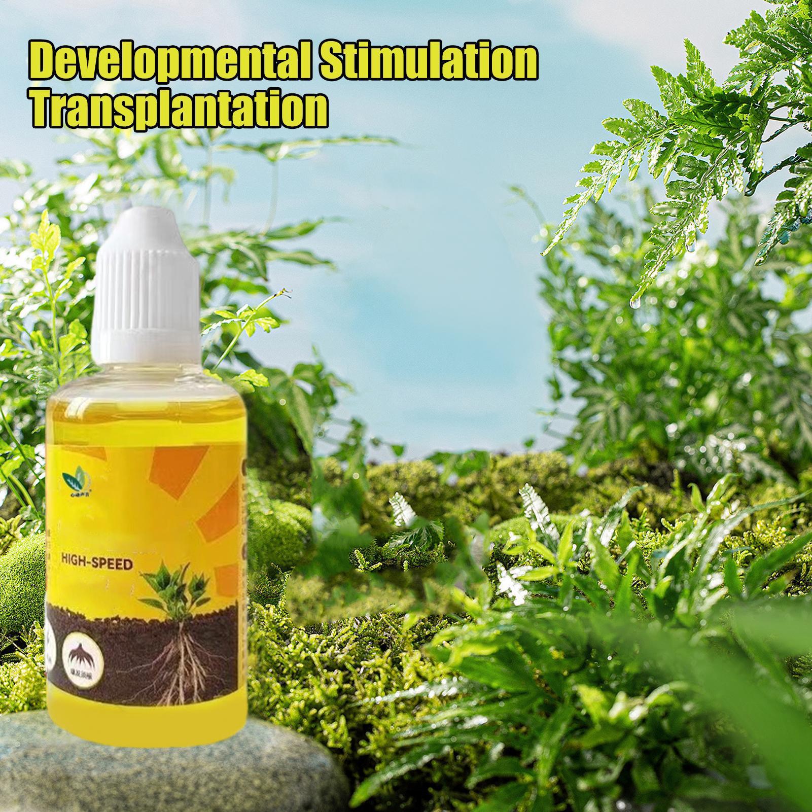 Root Stimulator Liquid - Plant Resurrection Liquid 50ml Flower Fruit