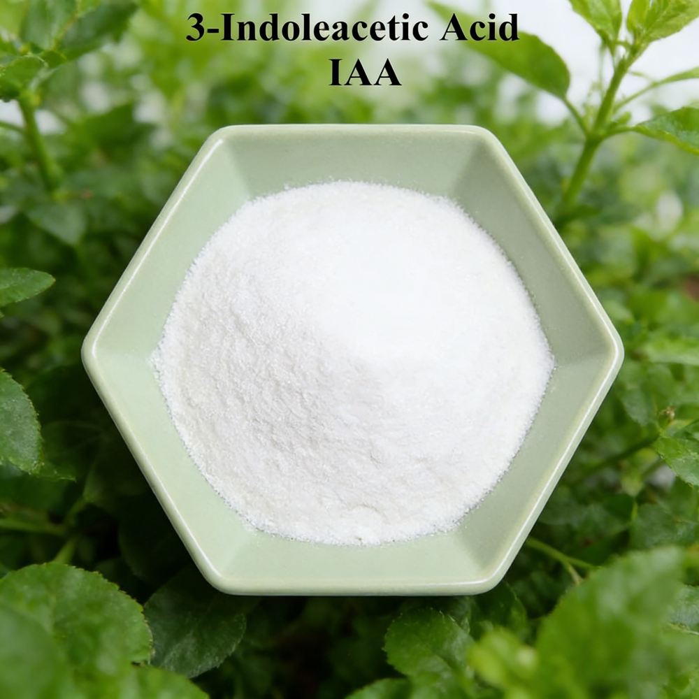Rooting Hormone Powder - 3-indoleacetic Acid IAA Auxina Indol-3-ylacetic Acid