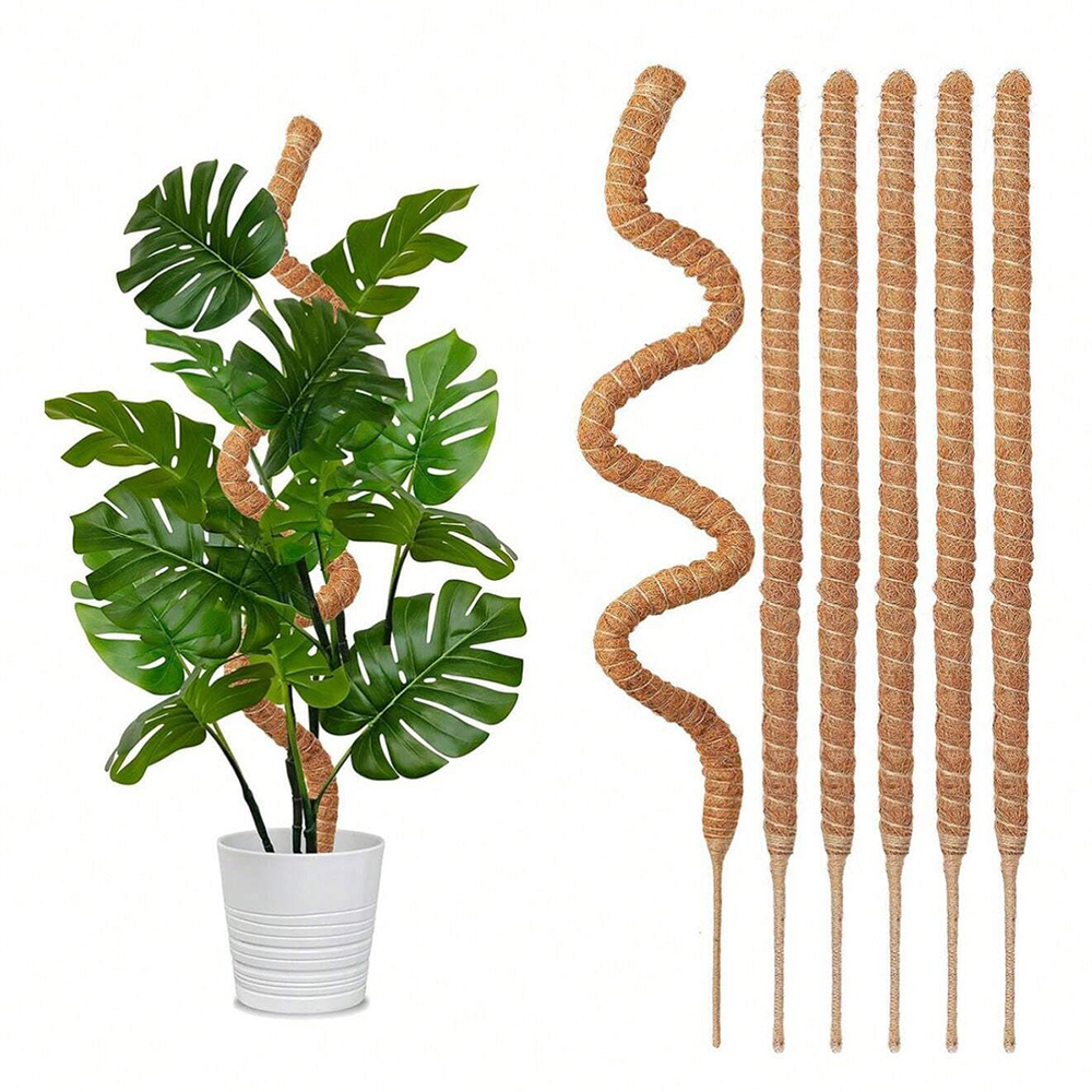 Sphagnum Moss Dry - Moss Pole for Plants Monstera Plant