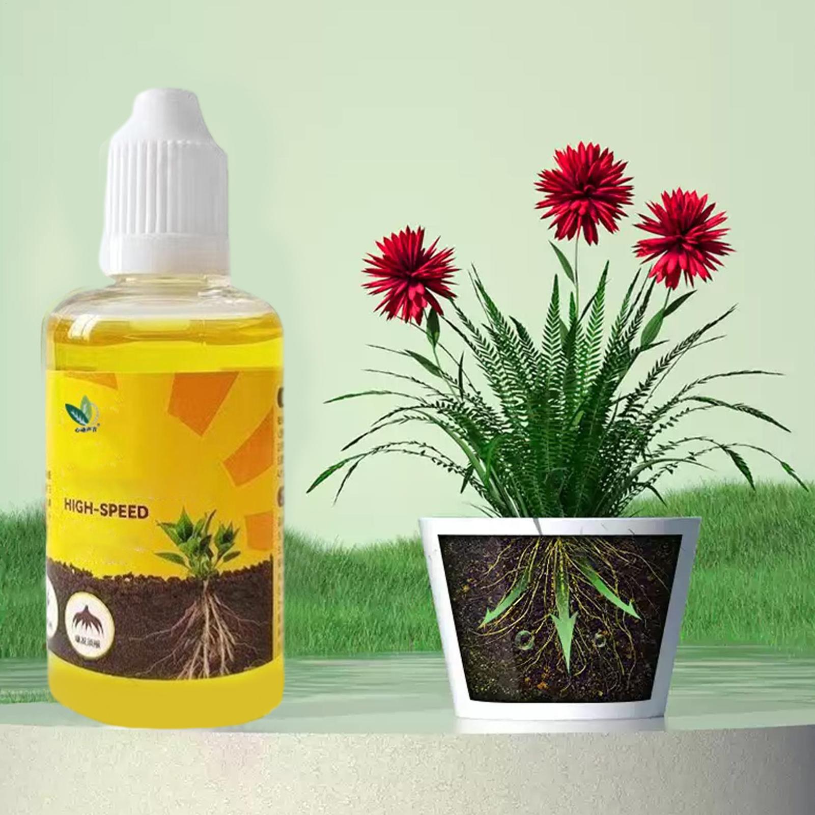 Root Stimulator Liquid - Plant Rapid Rooting Solution 50ml Nutrient-Rich