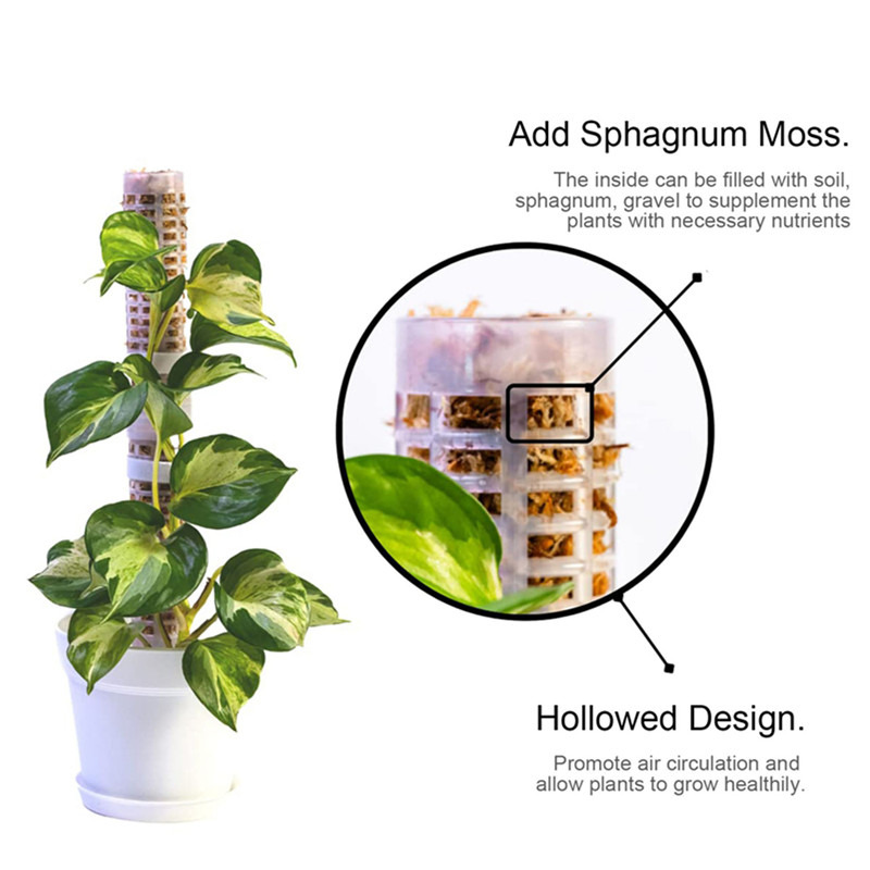 Sphagnum Moss Dry - Plant Climbing Column Sphagnum Moss Pole