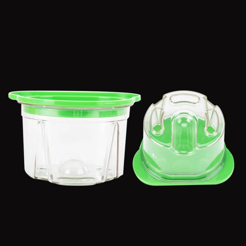 Agar Tissue Culture - 4Pcs Dental Plastic Agar Box Denture
