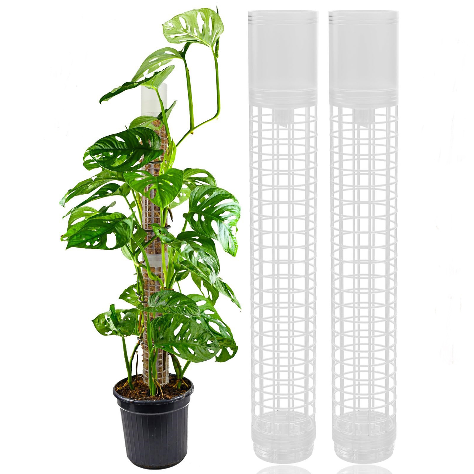 Sphagnum Moss Dry - Self-watering Moss Pole Plastic Plant Stand