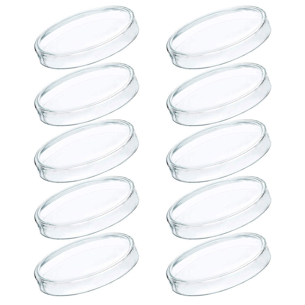 Agar Tissue Culture - 10Pcs Plastic Petri Dishes Transparent Clear