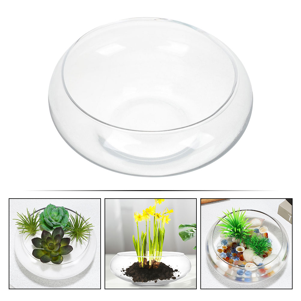 Wide Mouth Glass Vase Narcissu - đánh giá và giá Propagation Station Vase