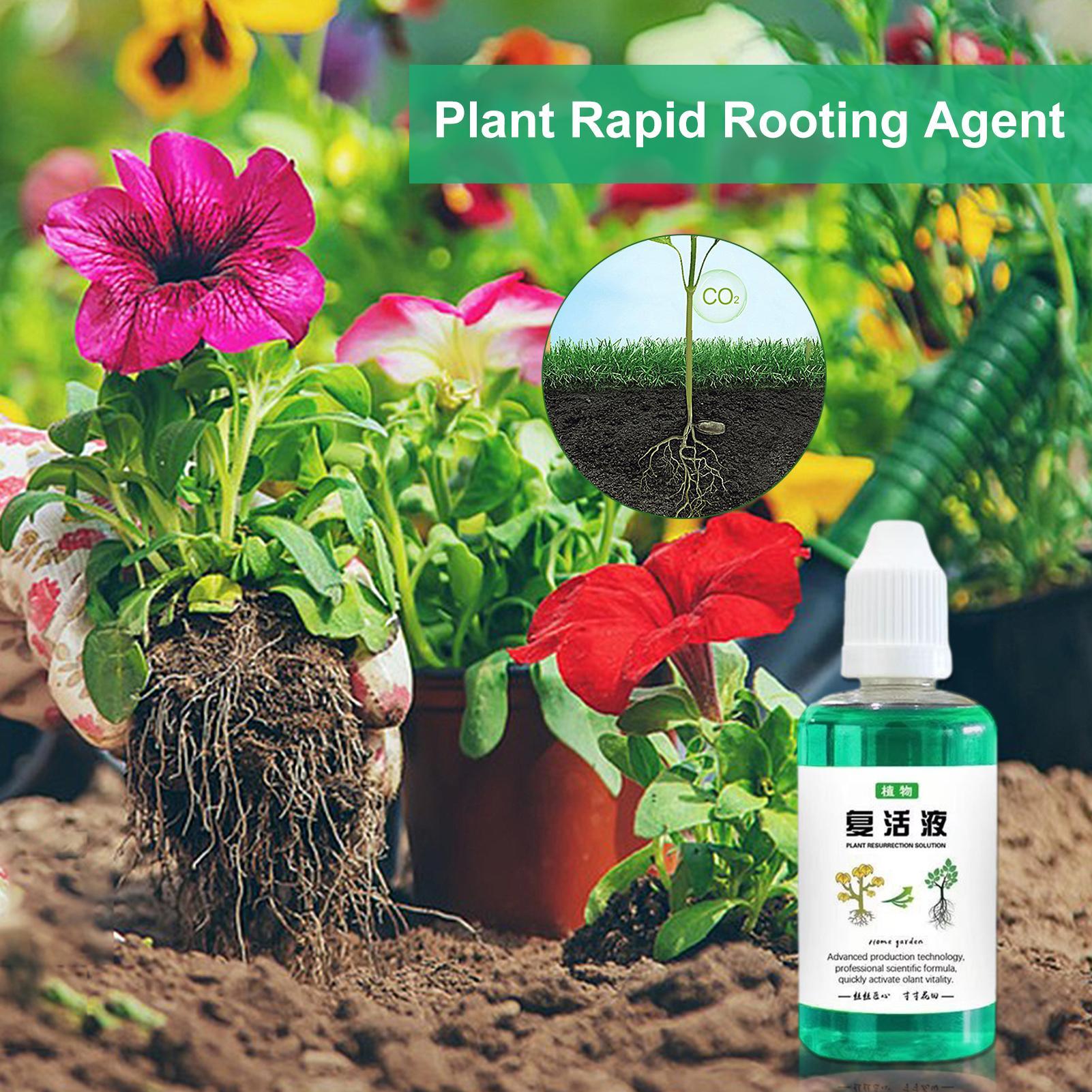 50ml Root Stimulator Plant Res - đánh giá và giá Root Stimulator Liquid
