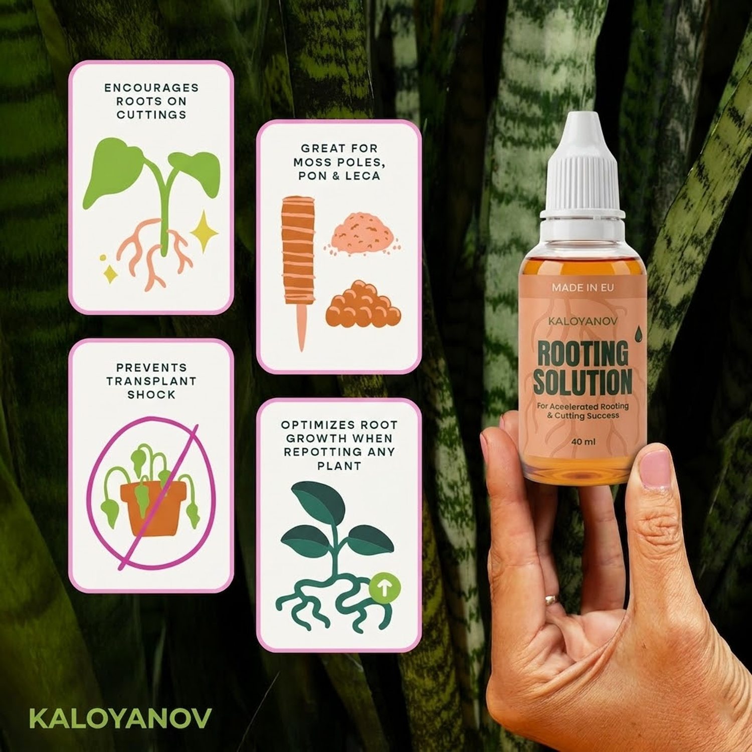 Root Drops Liquid Rooting Horm - đánh giá và giá Rooting Hormone Powder