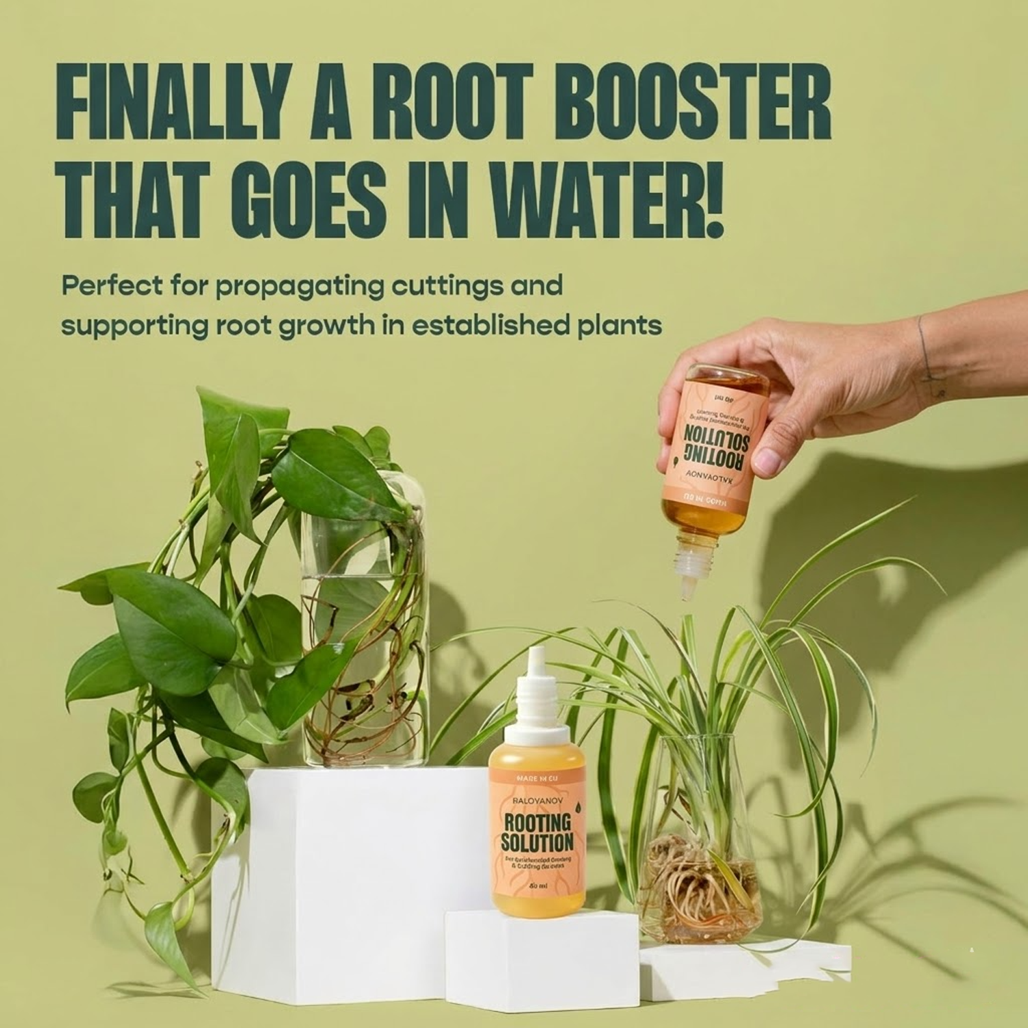 Root Drops Liquid Rooting Horm - đánh giá và giá Rooting Hormone Powder