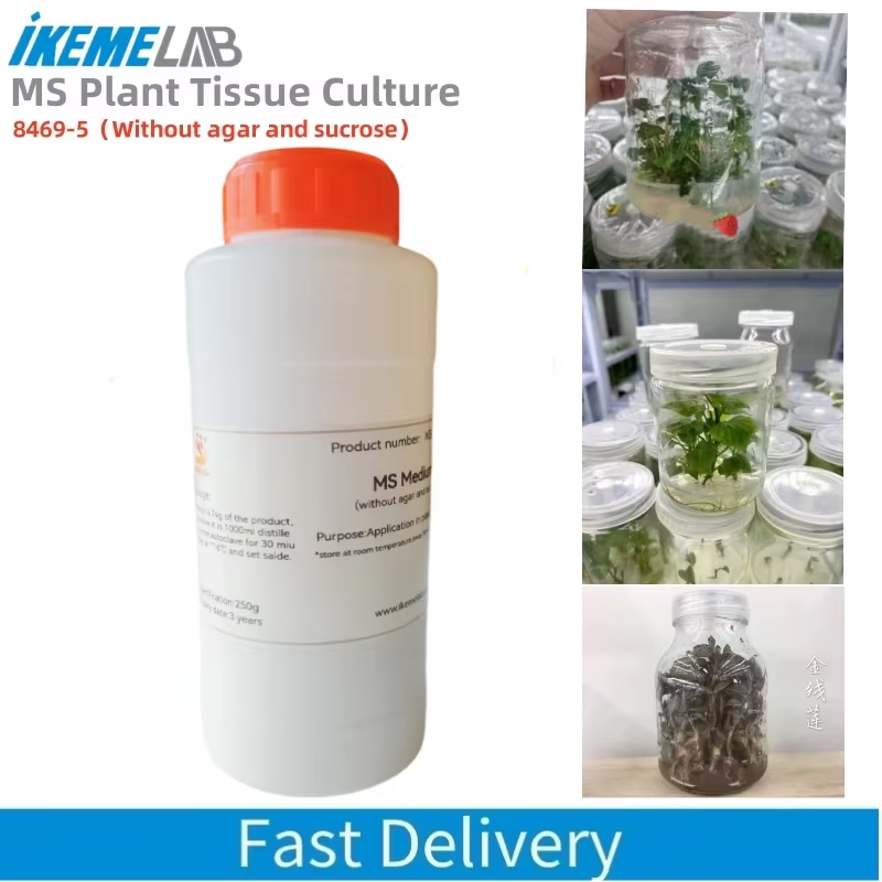 250G Phòng MS Trung Bình Mà Kh - đánh giá và giá Agar Tissue Culture