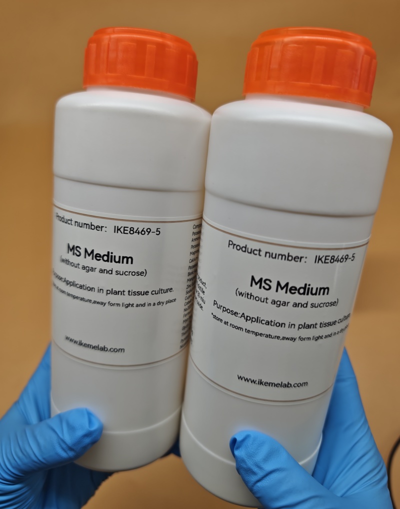 250G Phòng MS Trung Bình Mà Kh - đánh giá và giá Agar Tissue Culture