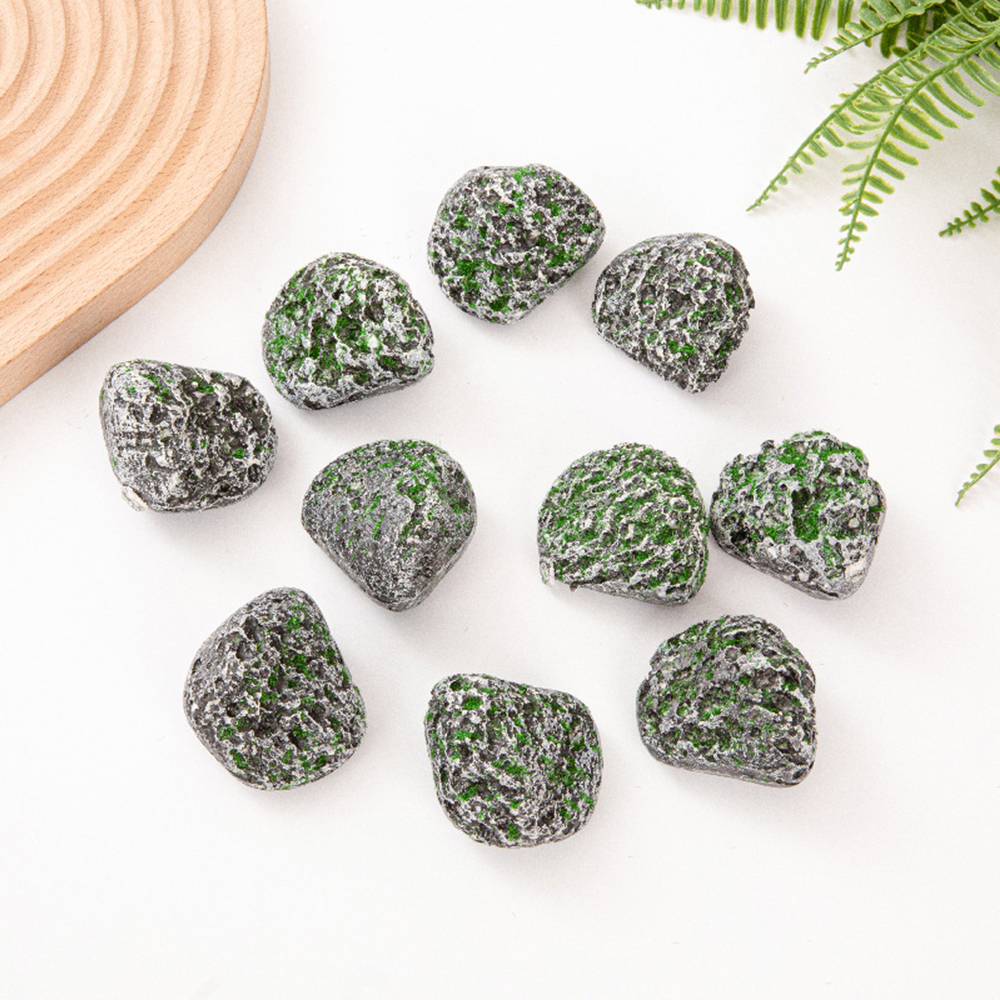 10PCS Mossy Gray Stone Multi-s - đánh giá và giá Sphagnum Moss Dry