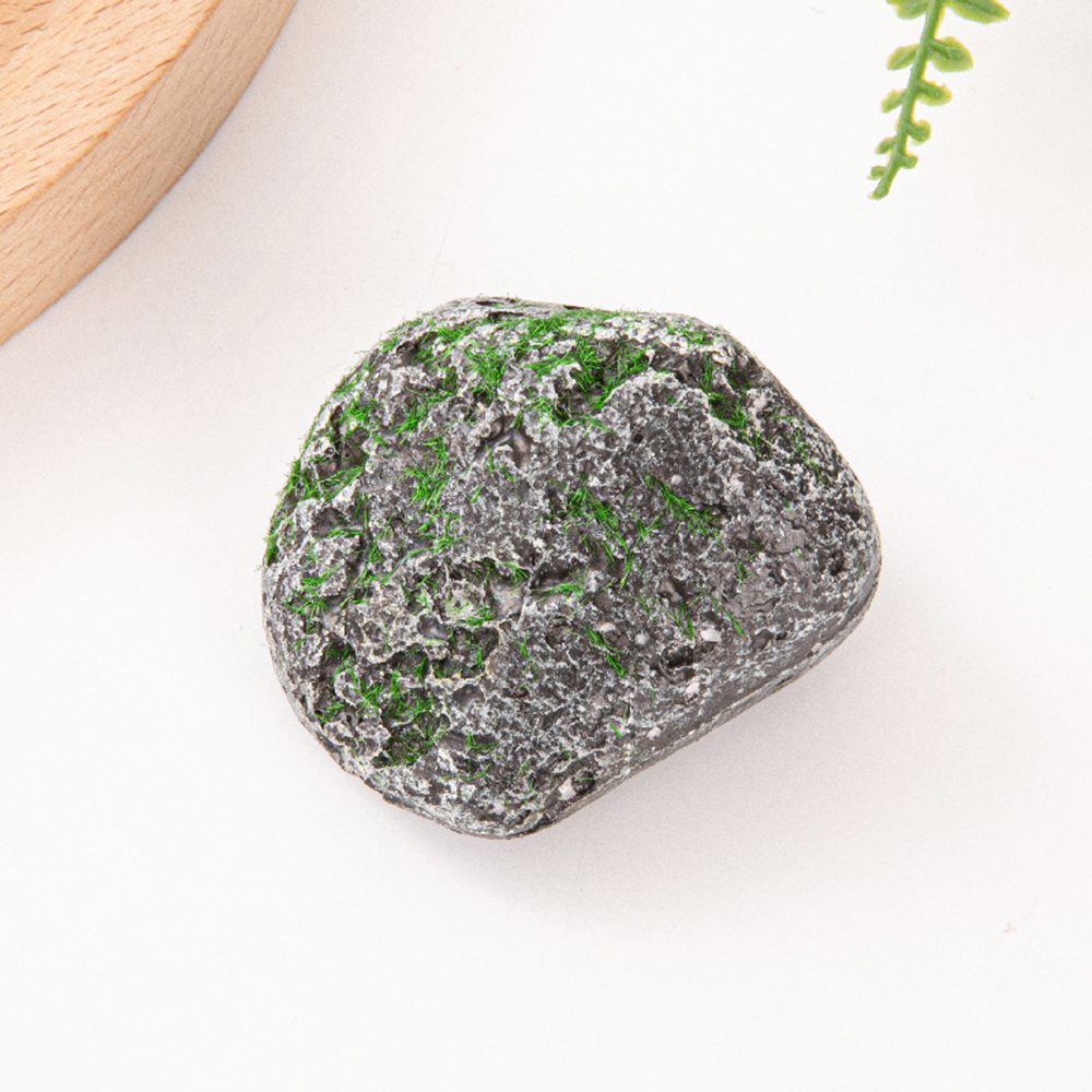 10PCS Mossy Gray Stone Multi-s - đánh giá và giá Sphagnum Moss Dry
