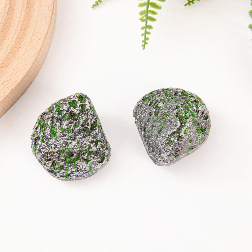 10PCS Mossy Gray Stone Multi-s - đánh giá và giá Sphagnum Moss Dry