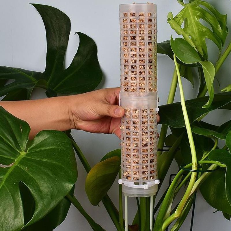Accessory Plastics Moss Pole S - đánh giá và giá Sphagnum Moss Dry