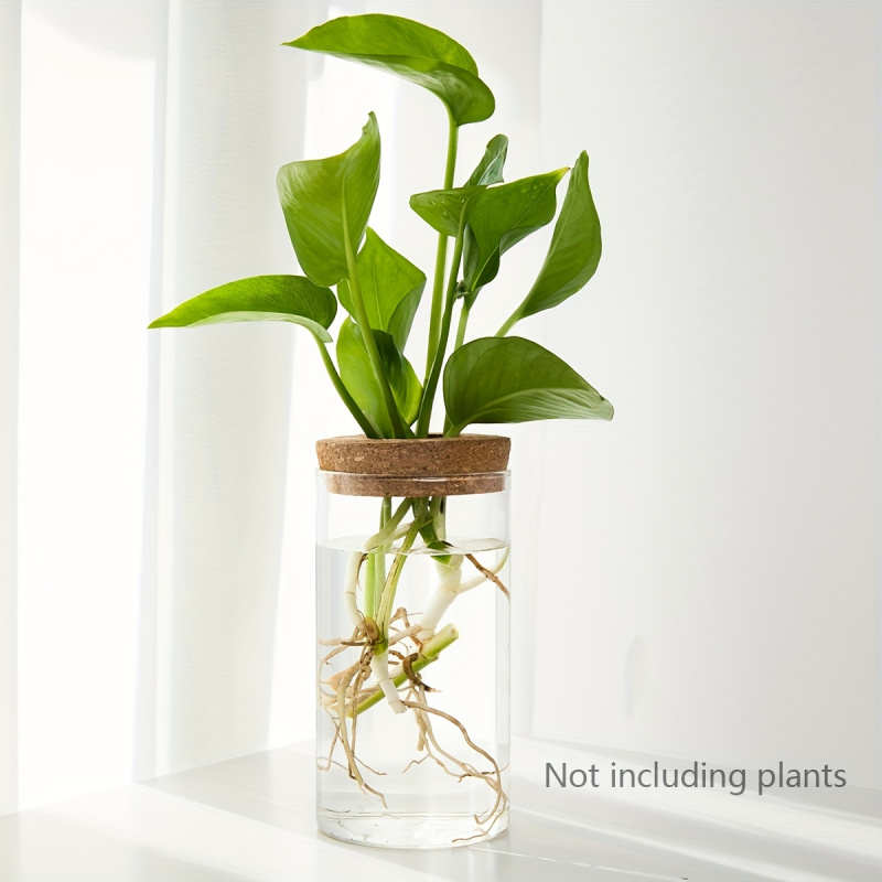 1pc, Hydroponics Plants Deskto - đánh giá và giá Propagation Station Vase