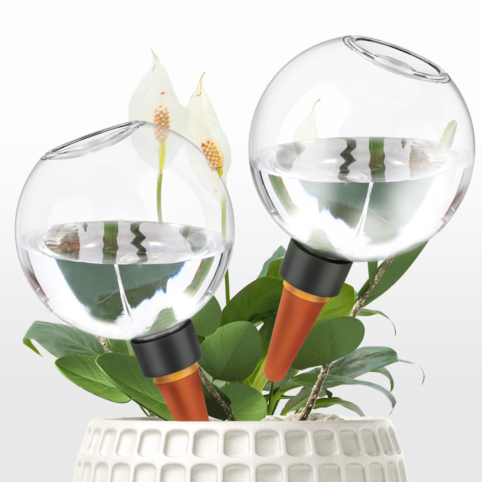2/4Pcs 500ML Automatic Drip Ir - đánh giá và giá Self Watering Insert