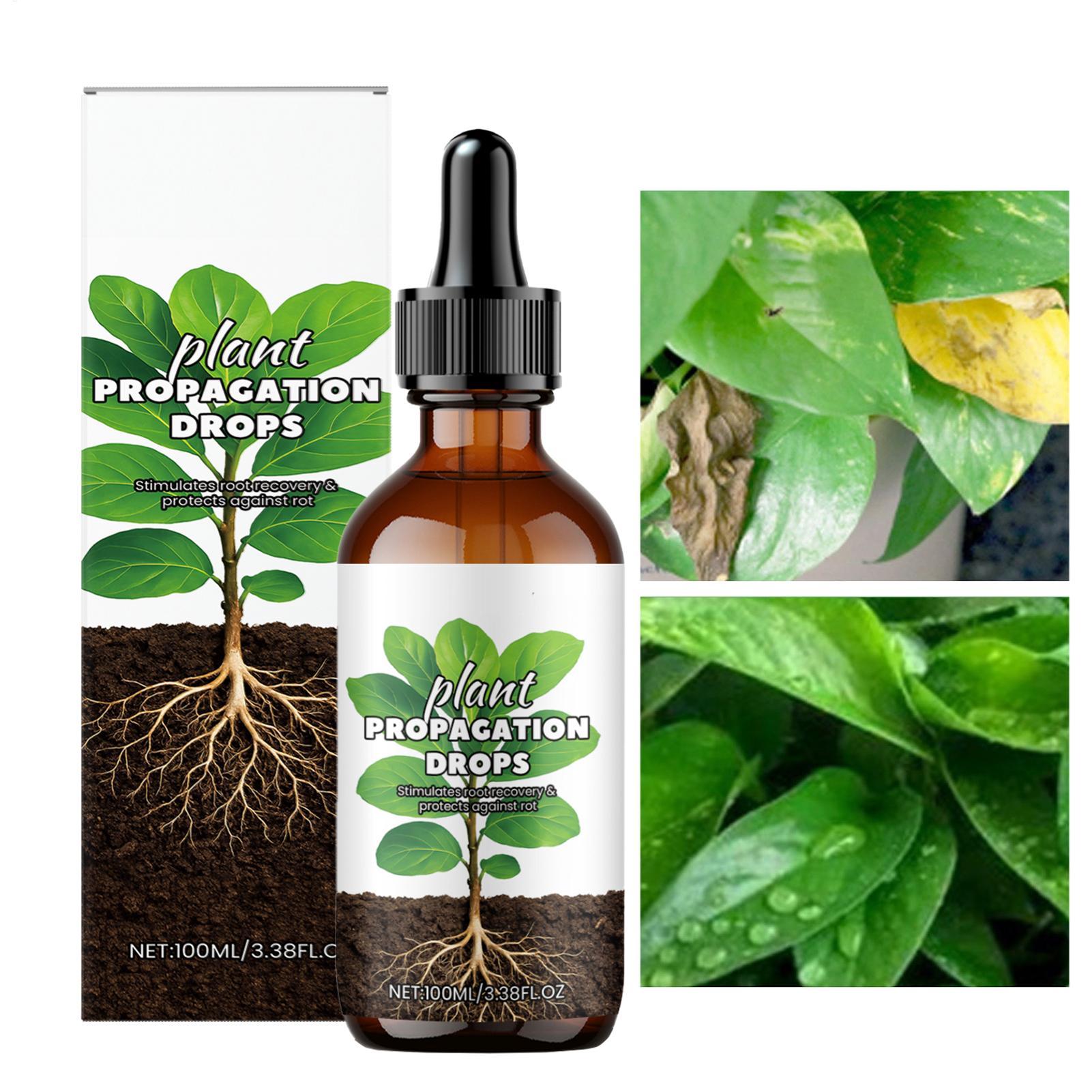 Root Booster 100ml Liquid Root - đánh giá và giá Root Stimulator Liquid
