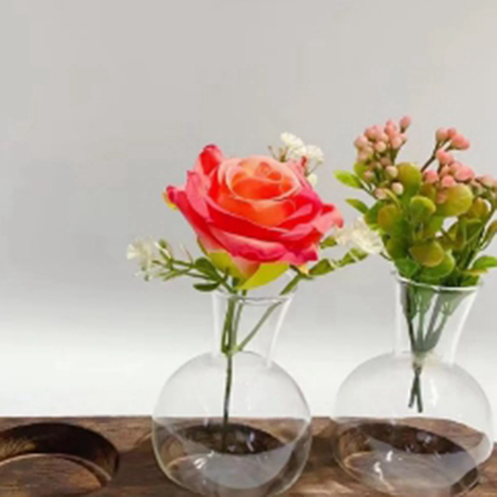 75STO-Hydroponic Plant Vases V - đánh giá và giá Propagation Station Vase