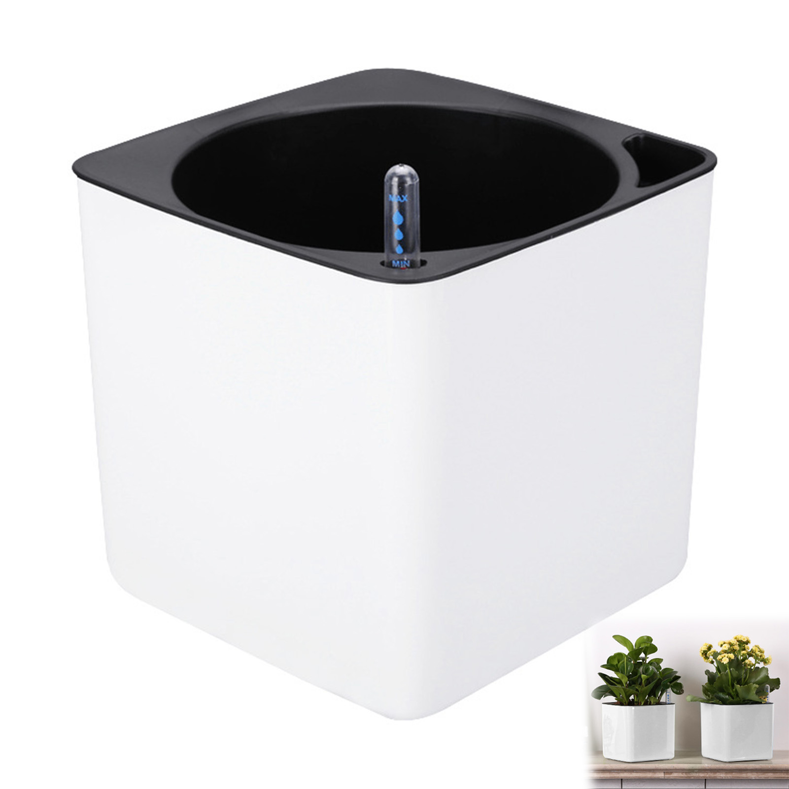 Automatic Self Watering Flower - đánh giá và giá Self Watering Insert
