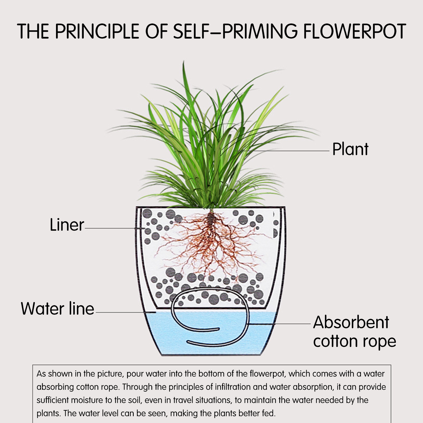 Automatic Self Watering Flower - đánh giá và giá Self Watering Insert