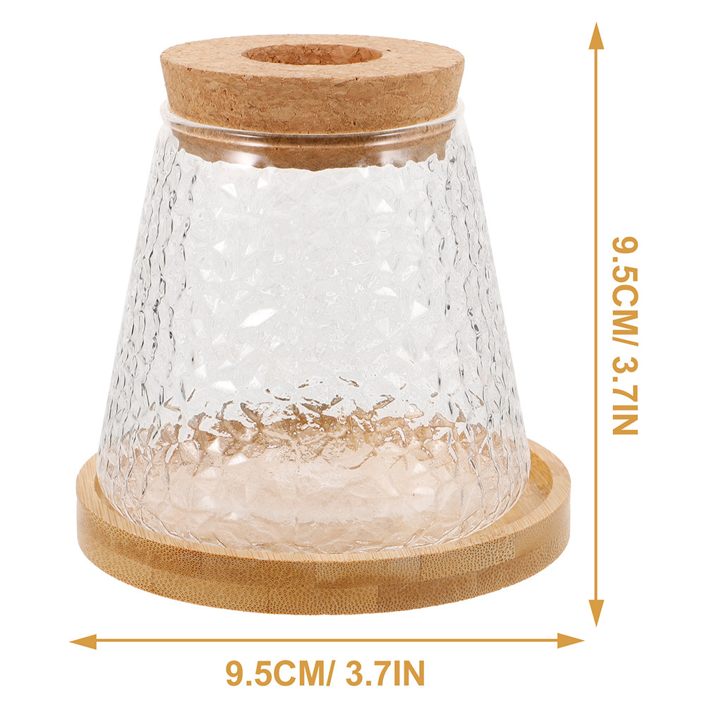 2Pcs Glass Hydroponic Vase Vol - đánh giá và giá Propagation Station Vase