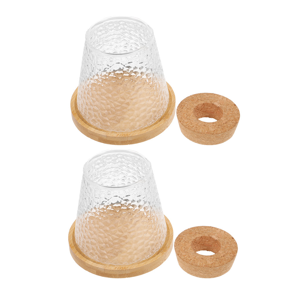 2Pcs Glass Hydroponic Vase Vol - đánh giá và giá Propagation Station Vase