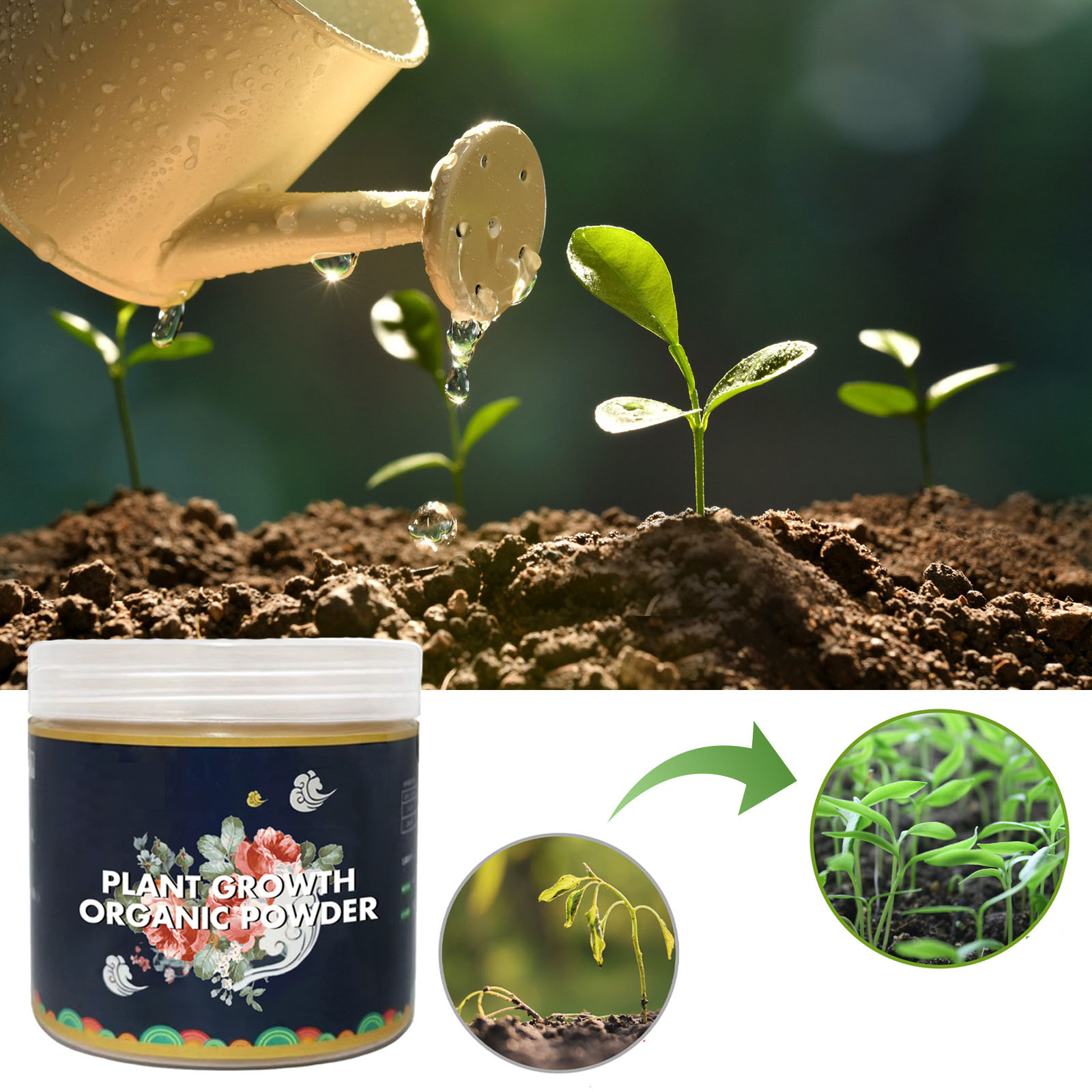 Fast Rooting Powder Plant Soil - đánh giá và giá Rooting Hormone Powder
