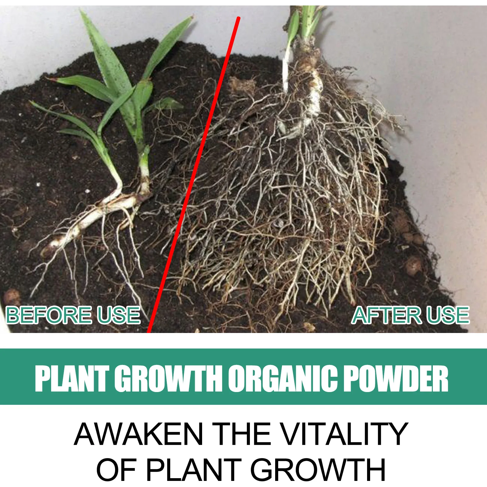 Fast Rooting Powder Plant Soil - đánh giá và giá Rooting Hormone Powder