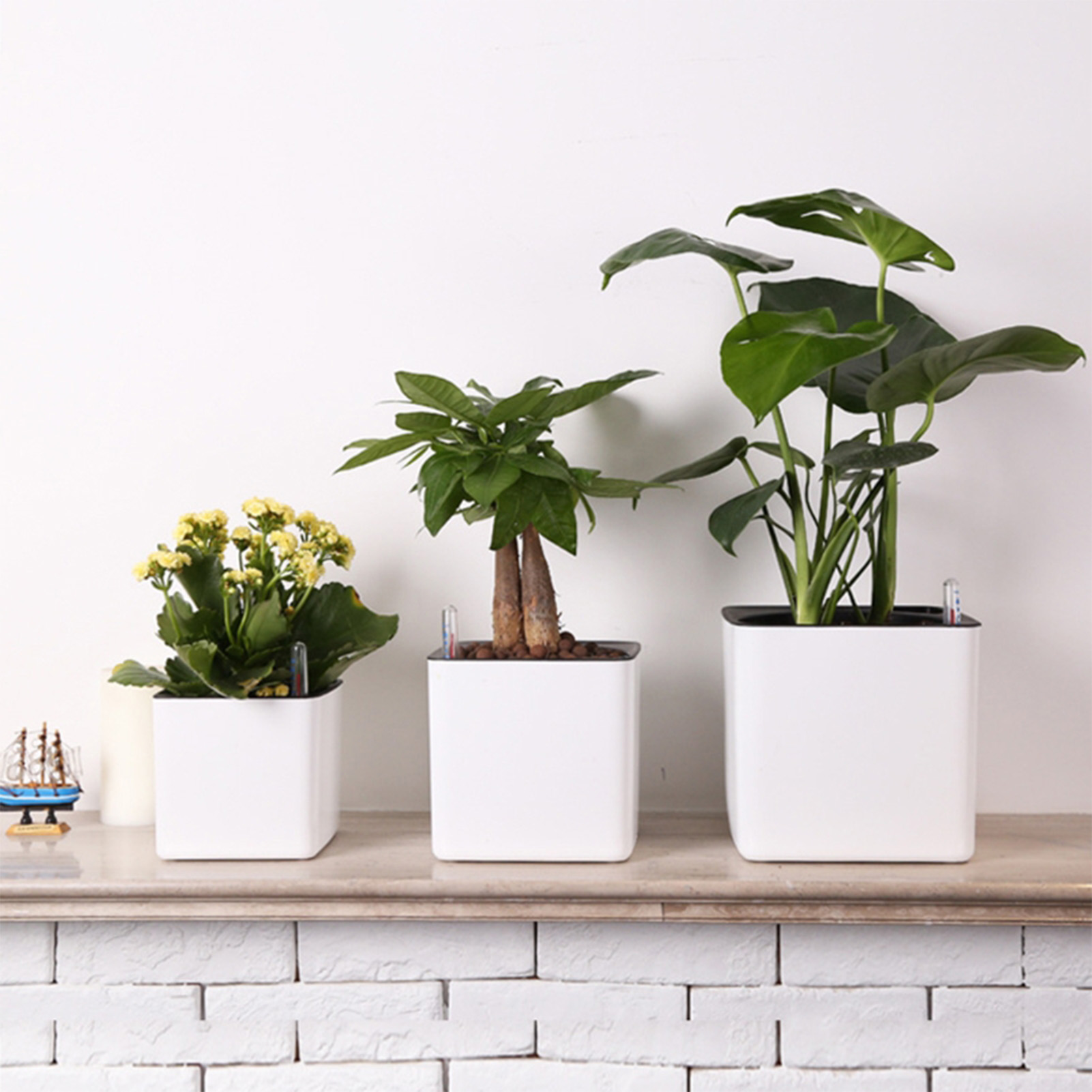 3 size Lazy flowerpot Green Pl - đánh giá và giá Self Watering Insert