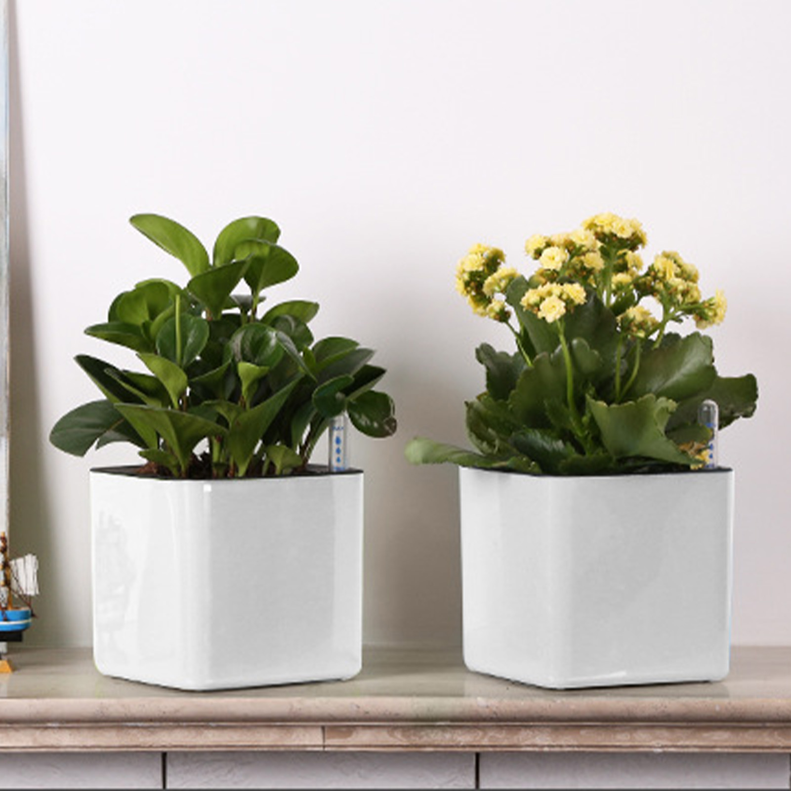 3 size Lazy flowerpot Green Pl - đánh giá và giá Self Watering Insert