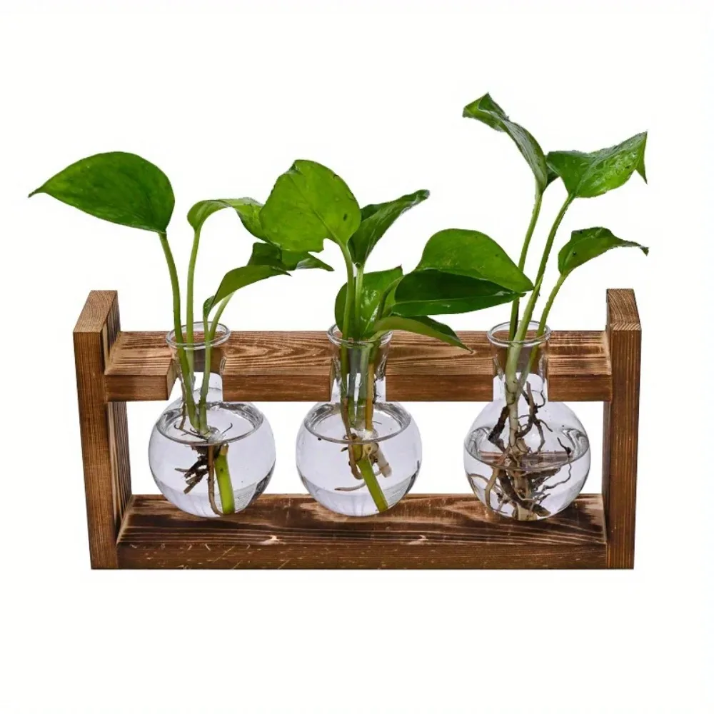 Tabletop Glass Planter Propaga - đánh giá và giá Propagation Station Vase
