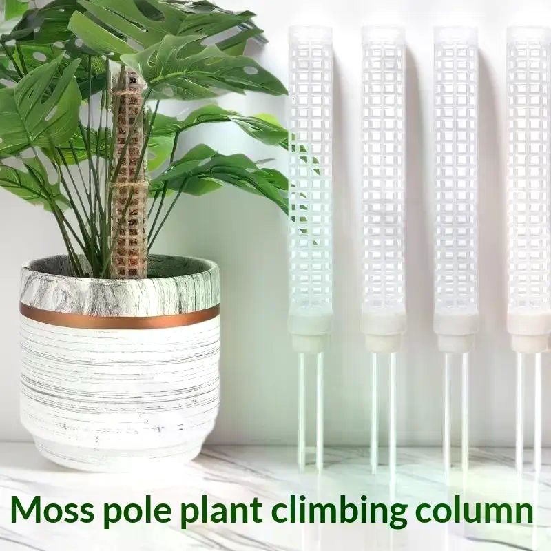 Plant Climbing Frame Plant Mos - đánh giá và giá Sphagnum Moss Dry