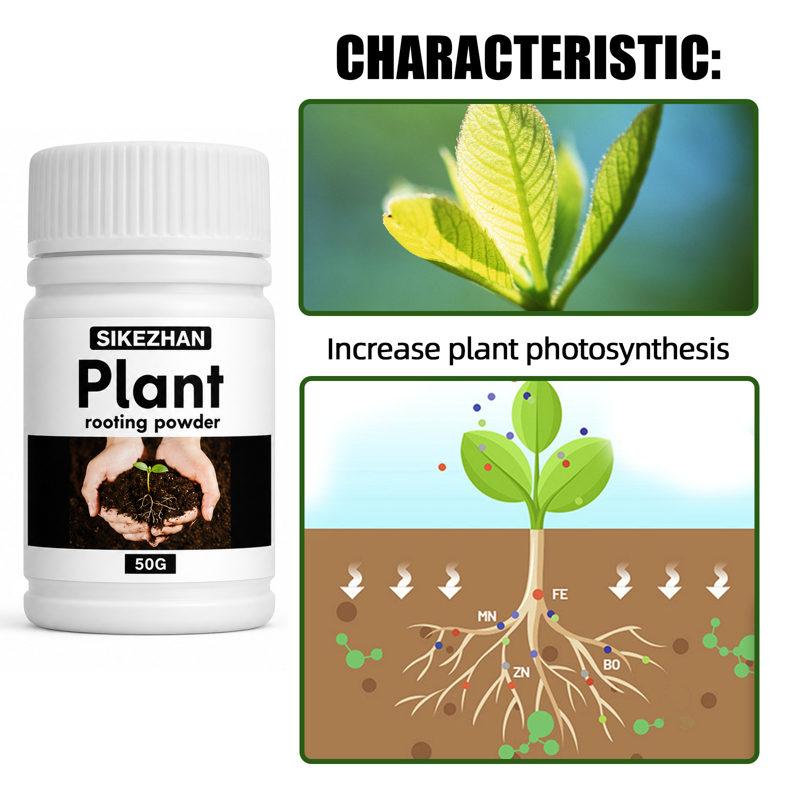 50g Rapid Rooting Powder Plant - đánh giá và giá Rooting Hormone Powder