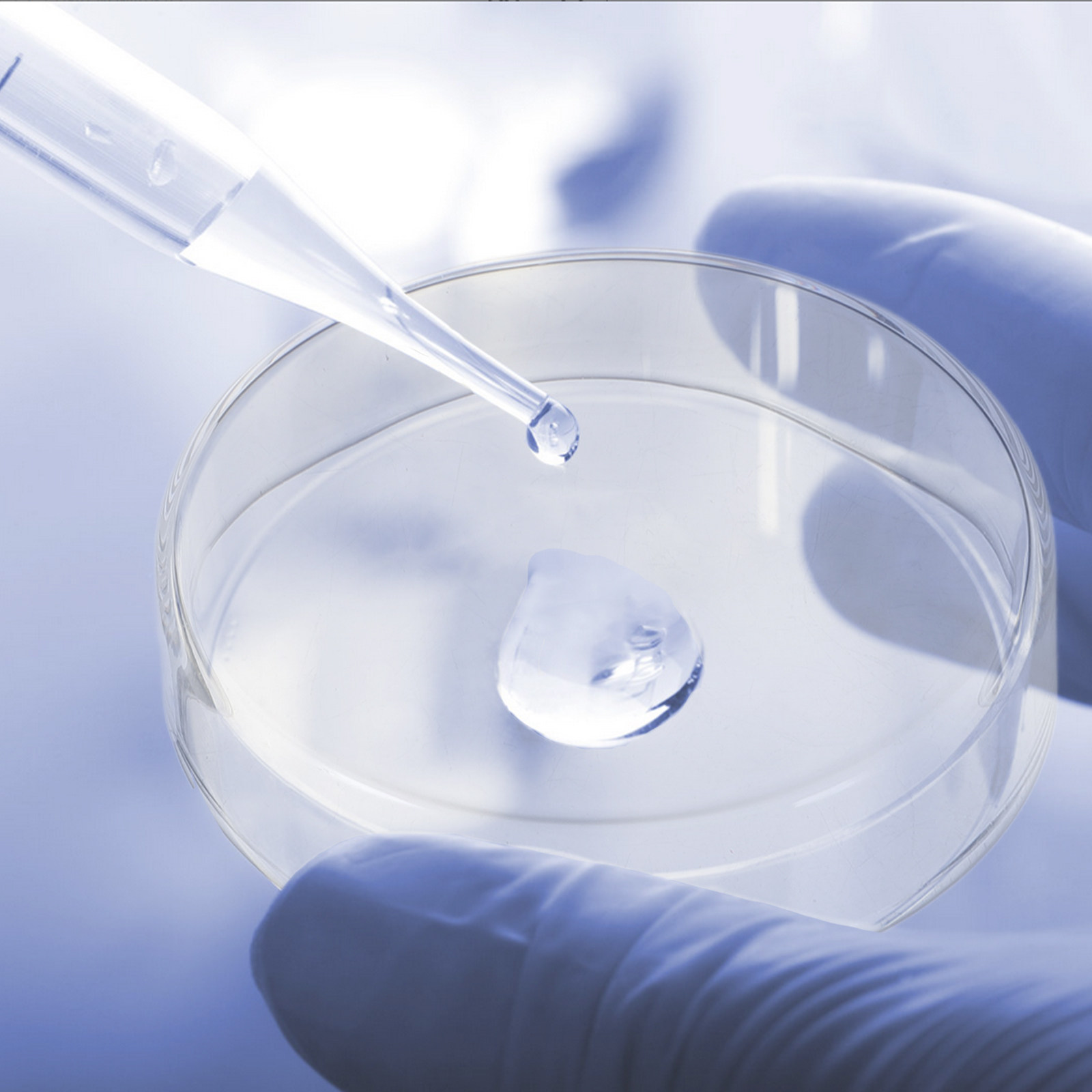 1Set Thickened Glass Petri Dis - đánh giá và giá Agar Tissue Culture