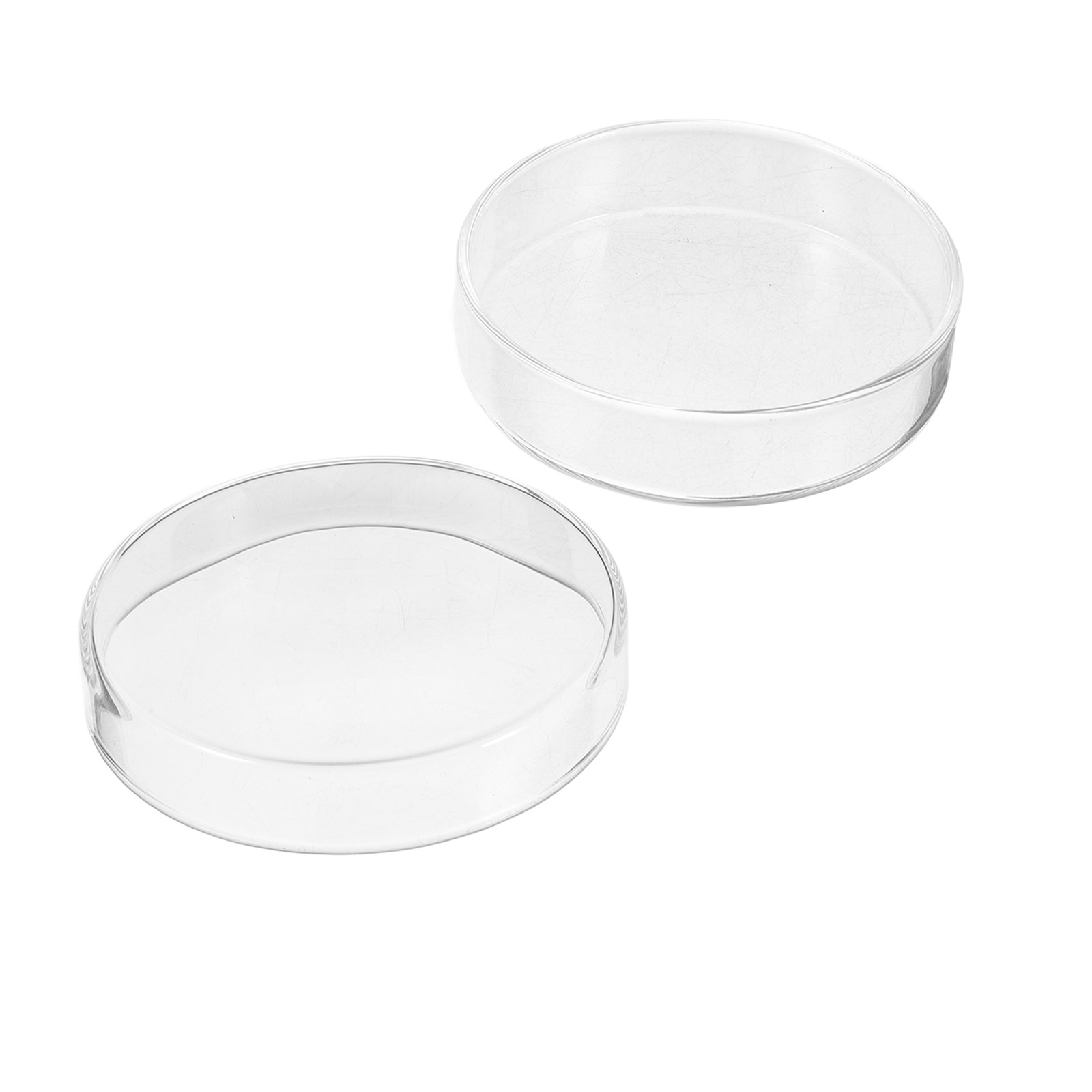 1Set Thickened Glass Petri Dis - đánh giá và giá Agar Tissue Culture