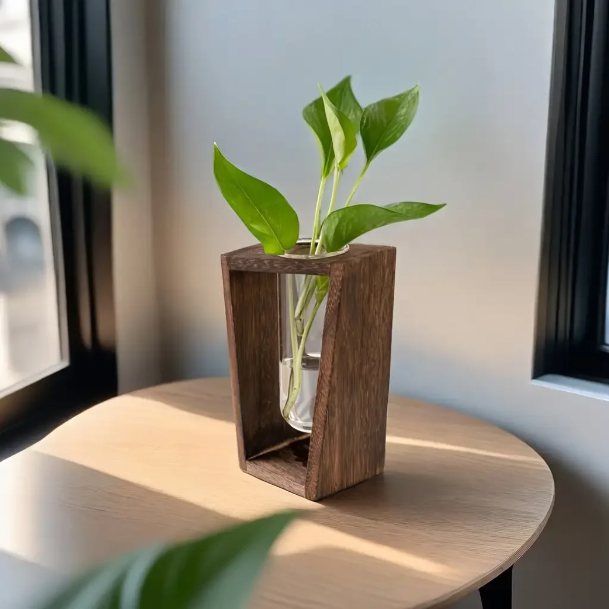 Plant Propagation Station Hydr - đánh giá và giá Propagation Station Vase