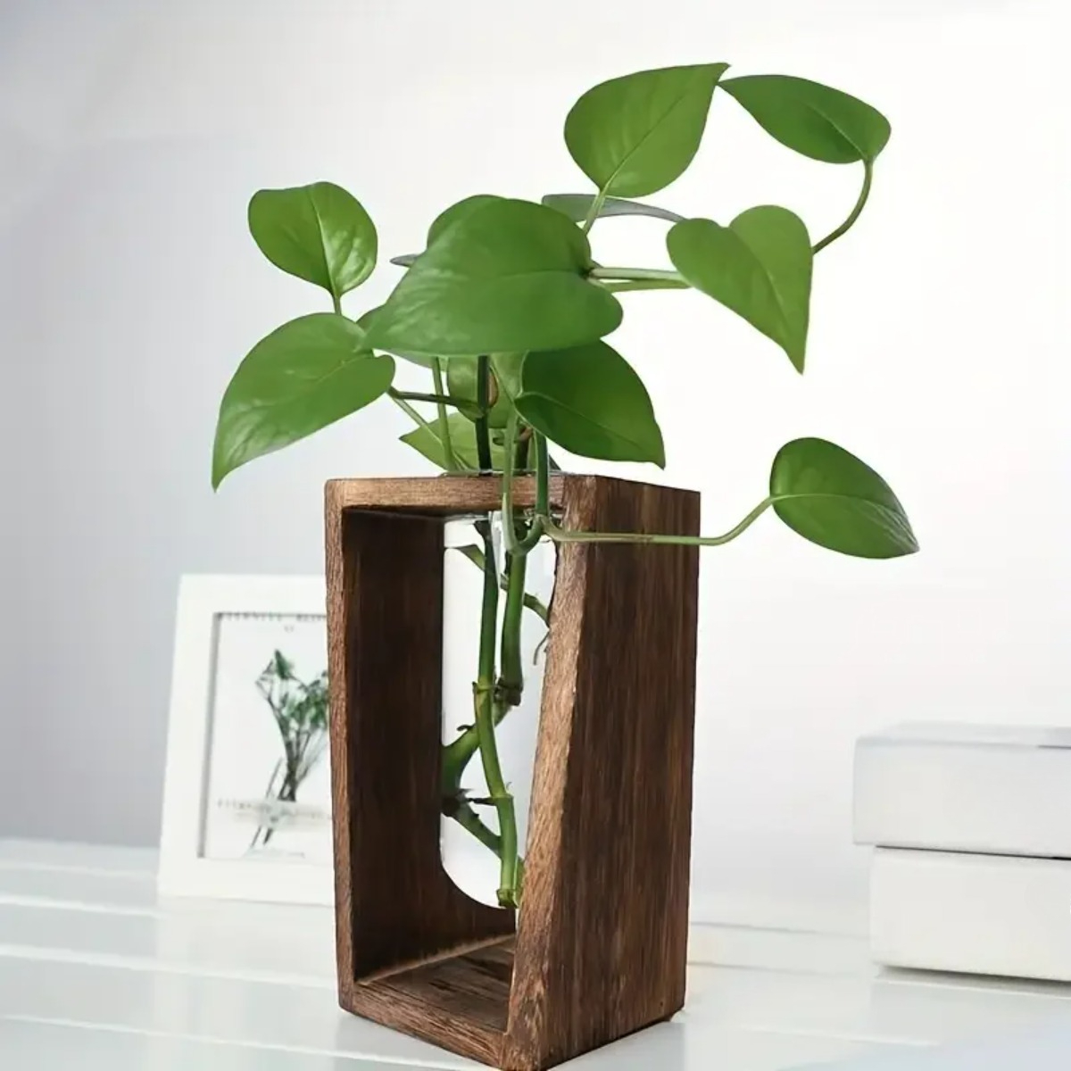 Plant Propagation Station Hydr - đánh giá và giá Propagation Station Vase