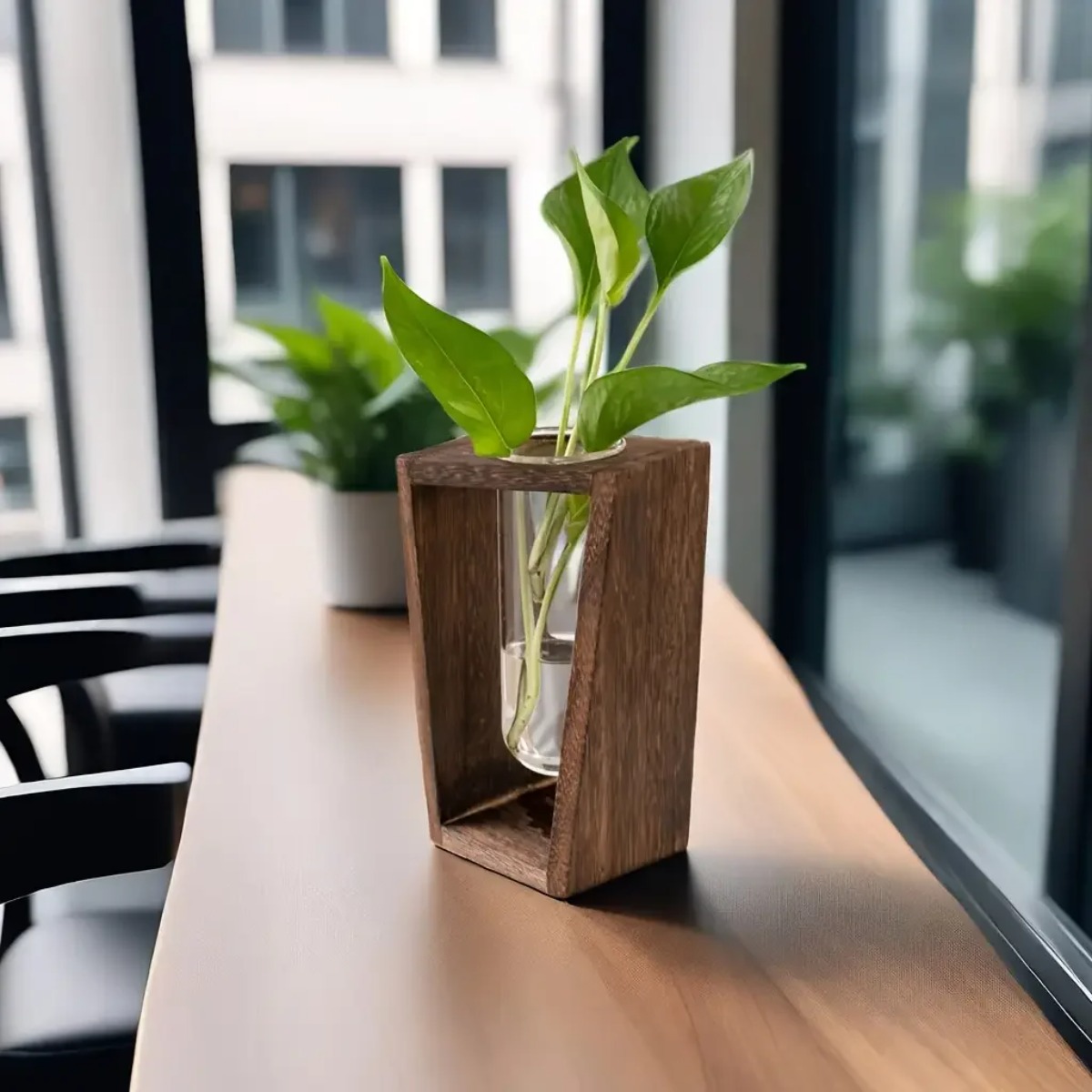 Plant Propagation Station Hydr - đánh giá và giá Propagation Station Vase
