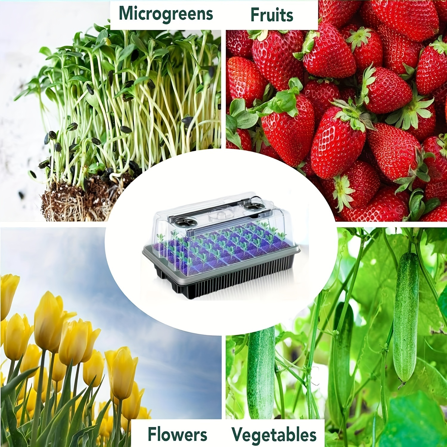 40/Cell Seed Starter Kit with  - đánh giá và giá Humidity Dome Kit
