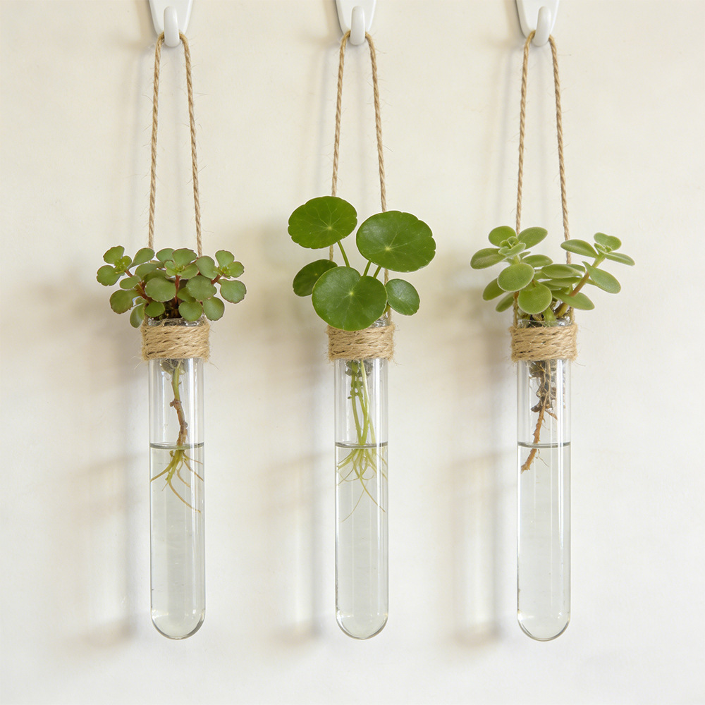Hydroponic Flower Vase Wall-Mo - đánh giá và giá Propagation Station Vase