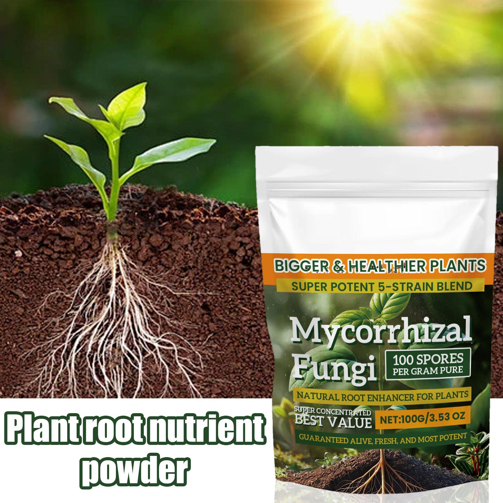 100g Plant Nutrient Powder Pla - đánh giá và giá Rooting Hormone Powder
